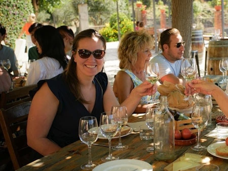 Barcelona: Tur de o jumătate de zi cu navigație, vizită la vie și degustare de vinuri