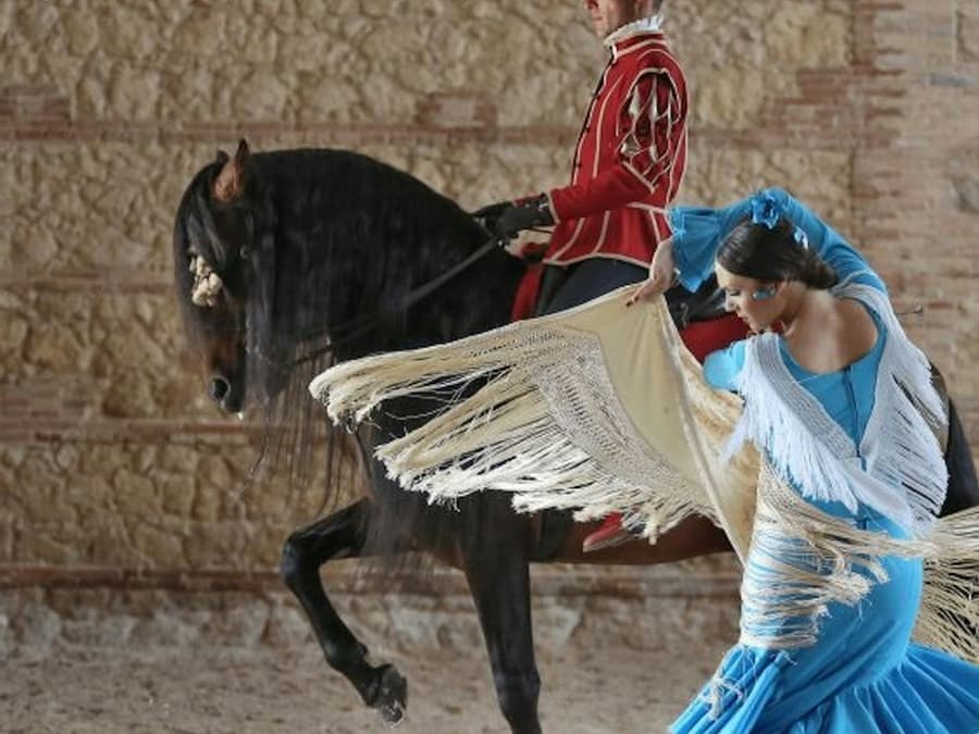 Equestrian Show 'Passion and Spirit of the Andalusian Horse'