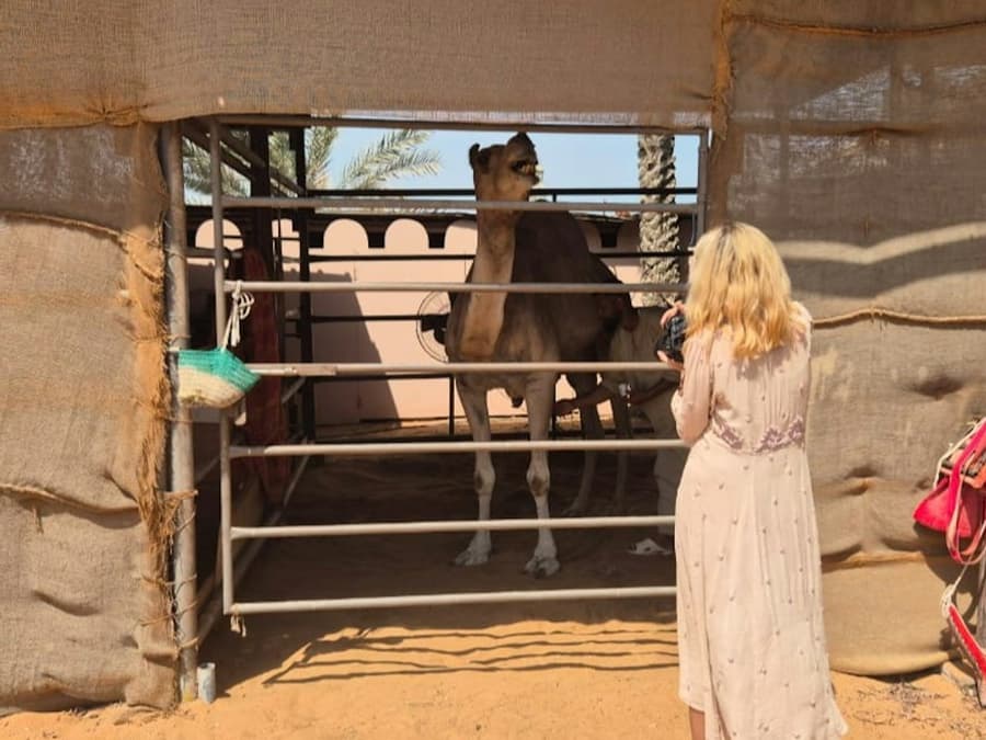 Al Ain: Private Guided Day Tour from Abu Dhabi