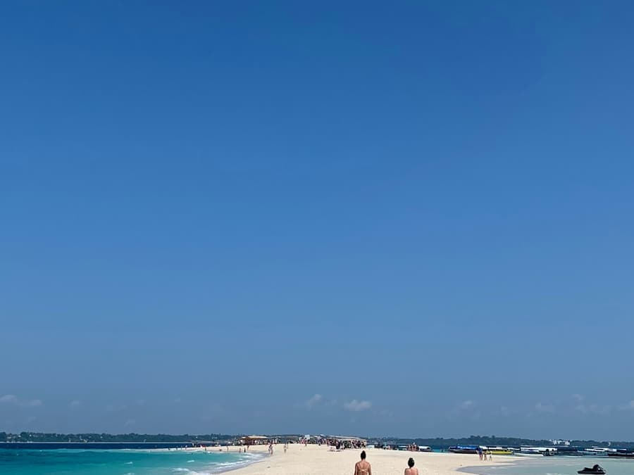 Zanzibar: Swimming with Dolphins Day Trip