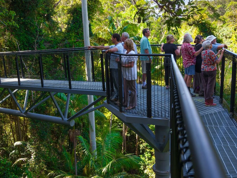 Tamborine Mountain: Hop-on Hop-off Bus from Brisbane