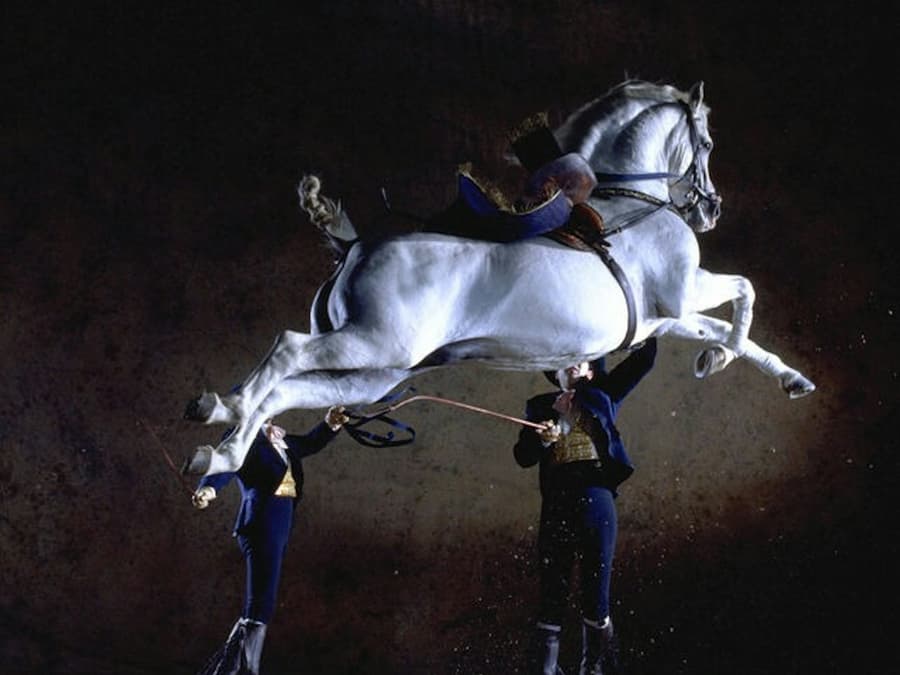 Royal Andalusian School of Equestrian Art: Andalusian Horse Show