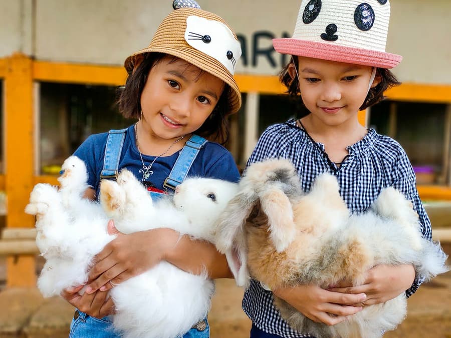 Melaka Crocodile & Recreational Park Admission