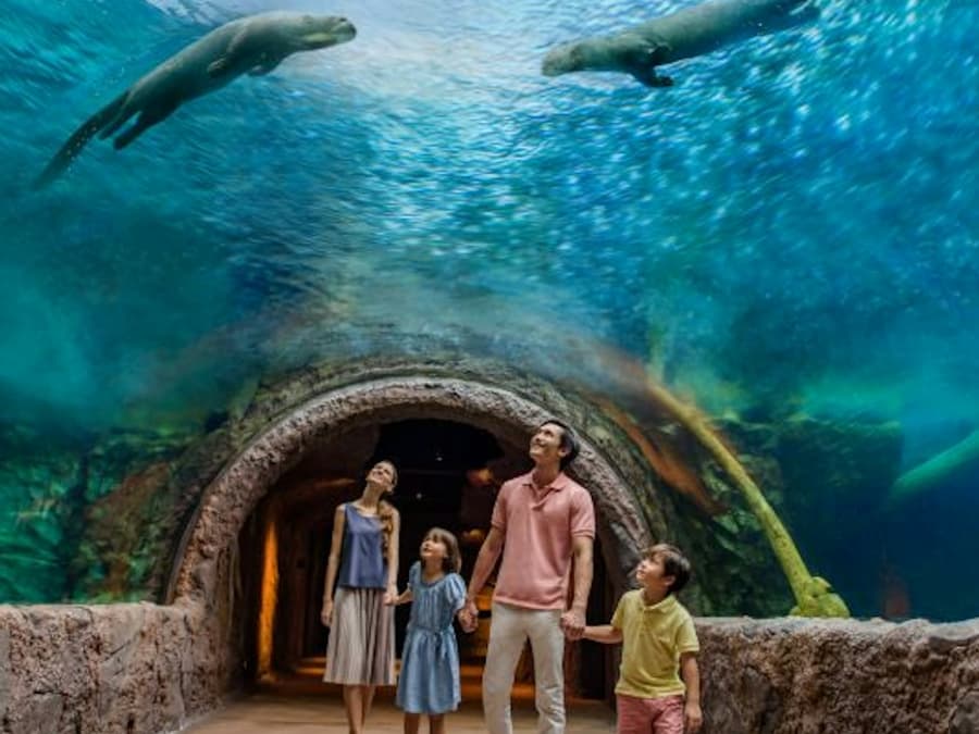Singapore River Wonders: Entry Ticket