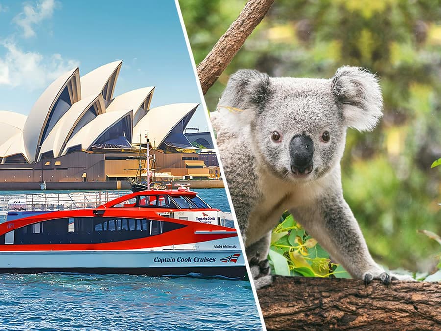 Combo: Captain Cook Cruises 2-Day Hop-On-Hop-Off Cruise + Taronga Zoo Tickets
