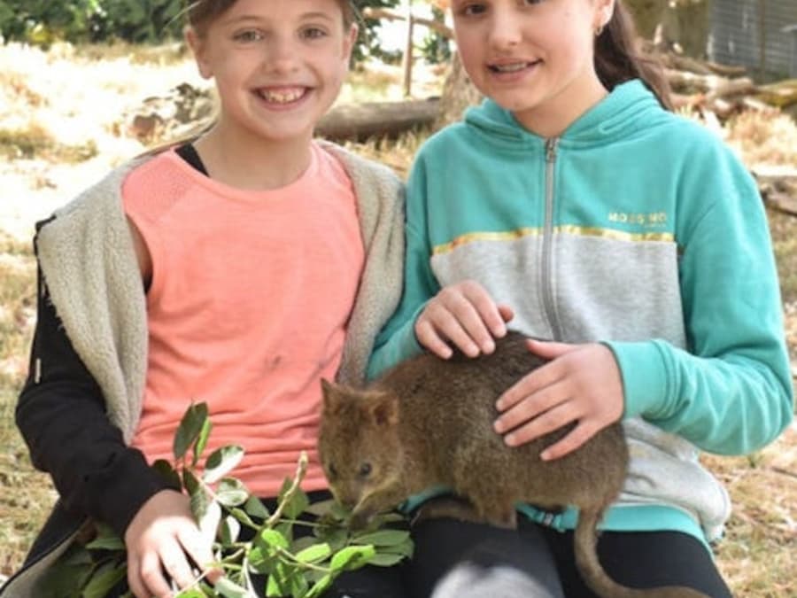 Gorge Wildlife Park: Entry Ticket