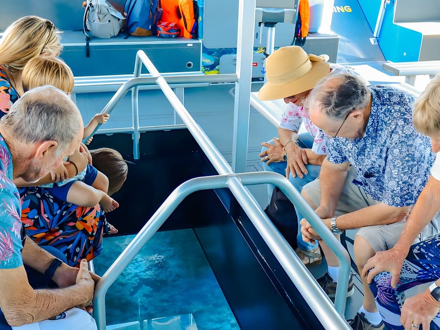 Cap Norfeu: Tour en bote con fondo de cristal de 2.5 horas desde Roses o Santa Margarita