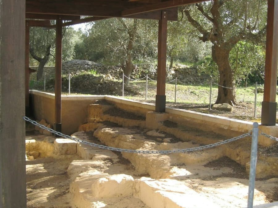 Villa Castelli: Walking Tour with Olive Oil Tasting