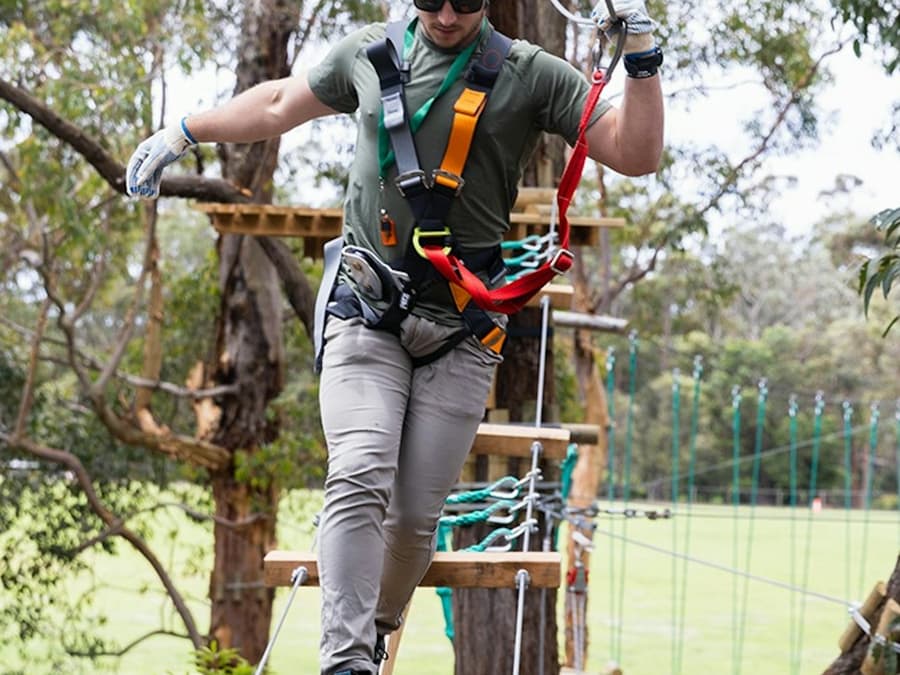 Treetops Adventure: St Ives