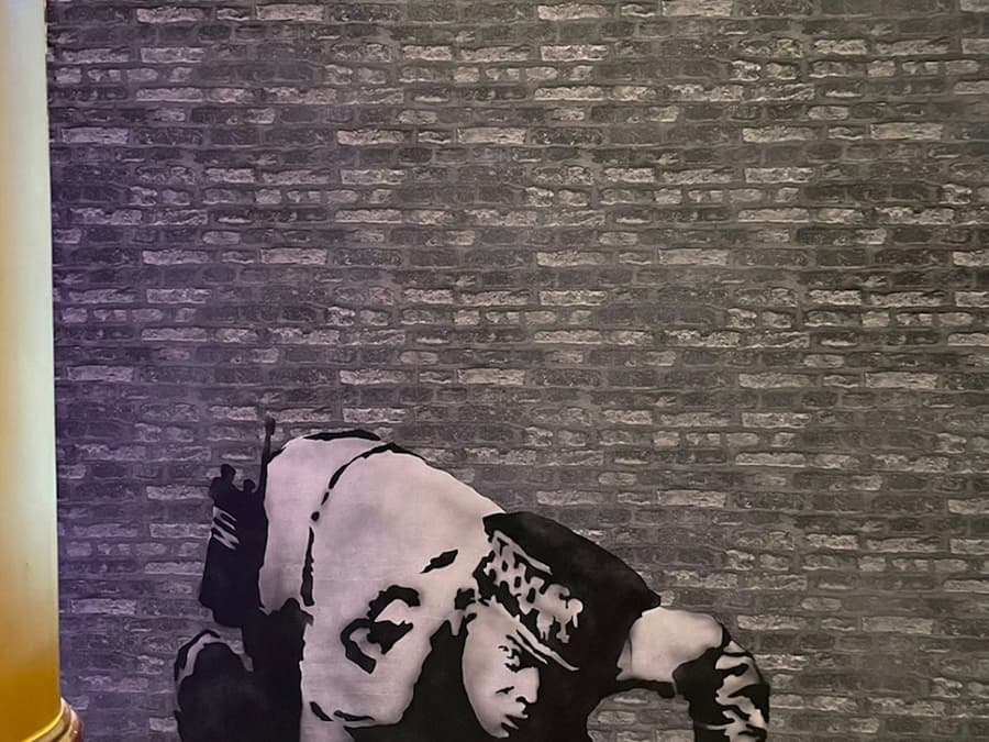 Banksy Museum (The World of Banksy) in Brussels: Entry Ticket