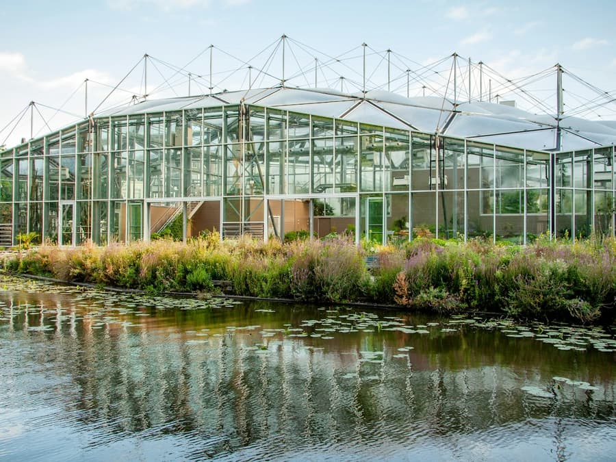 Hortus Botanicus: Entry Ticket
