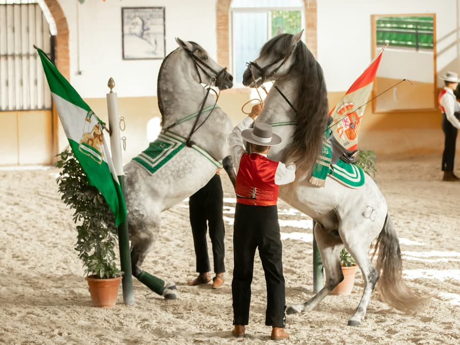 Club Hipico El Ranchito: Andalusian Horse and Flamenco Show