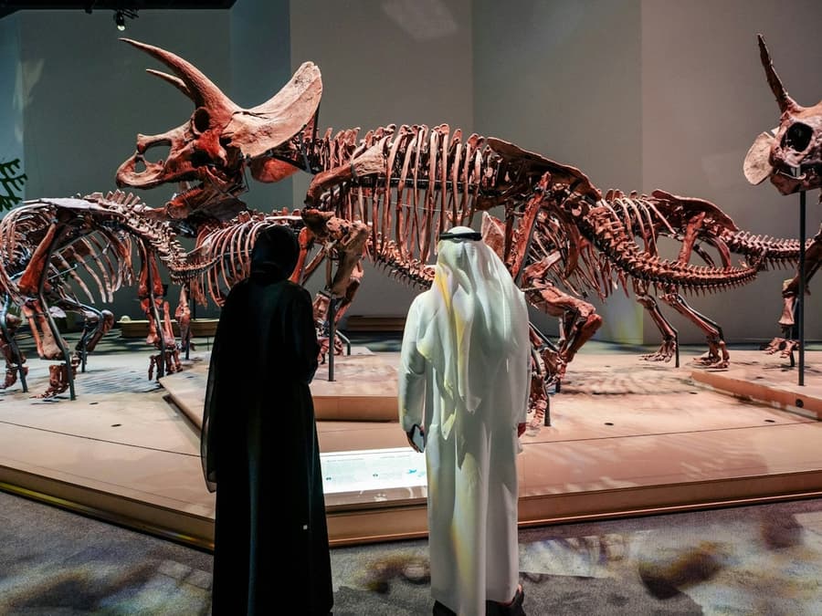 Natural History Museum Abu Dhabi: Entry Ticket