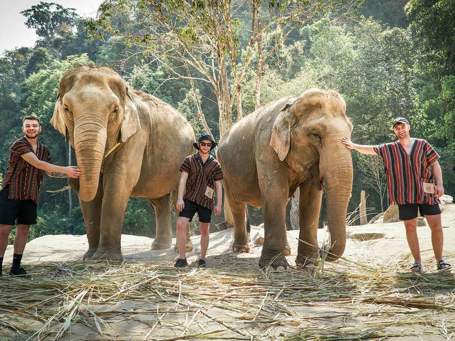 Chiang Mai: Elephant Jungle Sanctuary and Mama Noi Thai Cooking Class Full Day Tour with Hotel Transfers