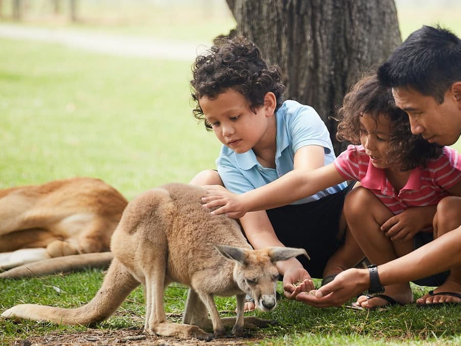 Oakvale Wildlife Park: Entry Ticket