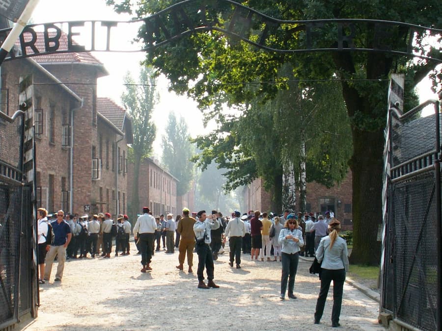 Auschwitz-Birkenau: Guided Tour + Transport + Lunch