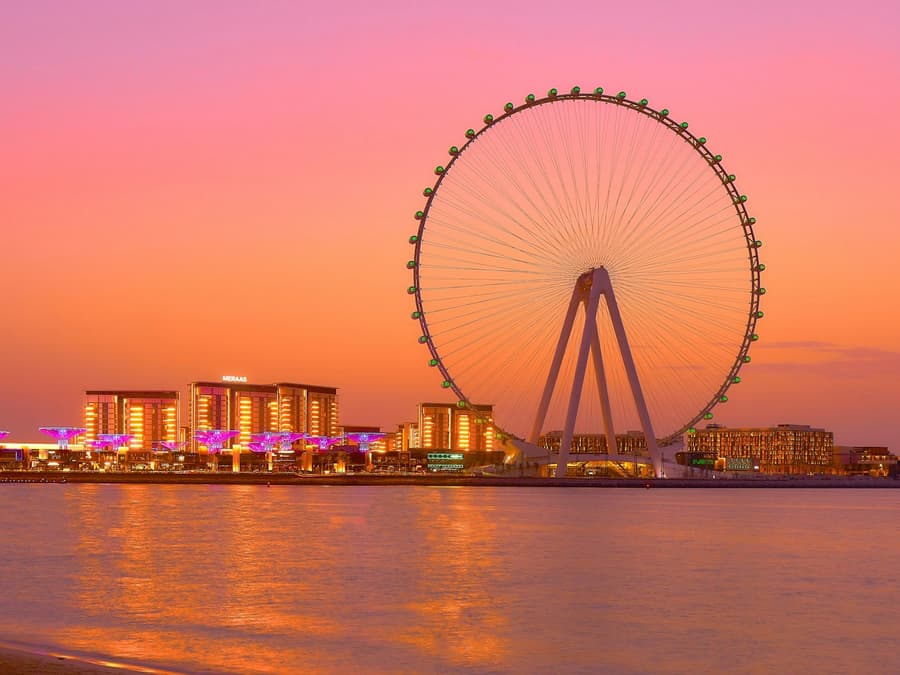 Ain Dubai & 1-Day Access to 1 Dubai Park