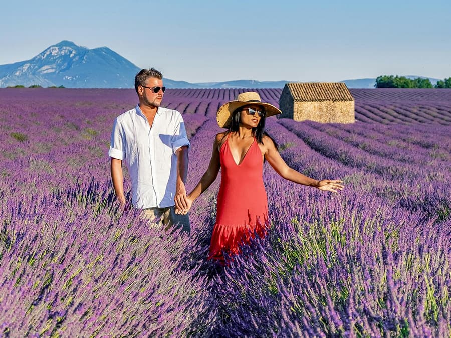 From Aix-En-Provence: Lavender Fields Tour