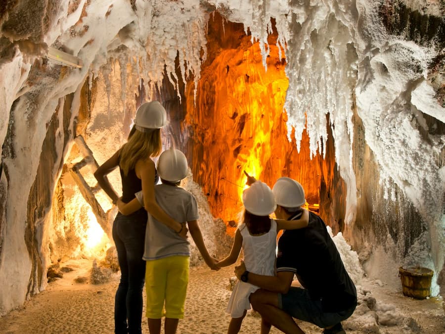 The Salt Mountain of Cardona: Guided Visit