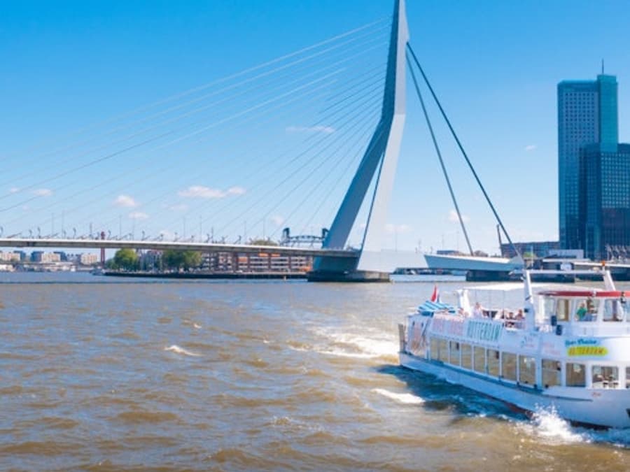 Rotterdam: Harbour Cruise with Live Guide