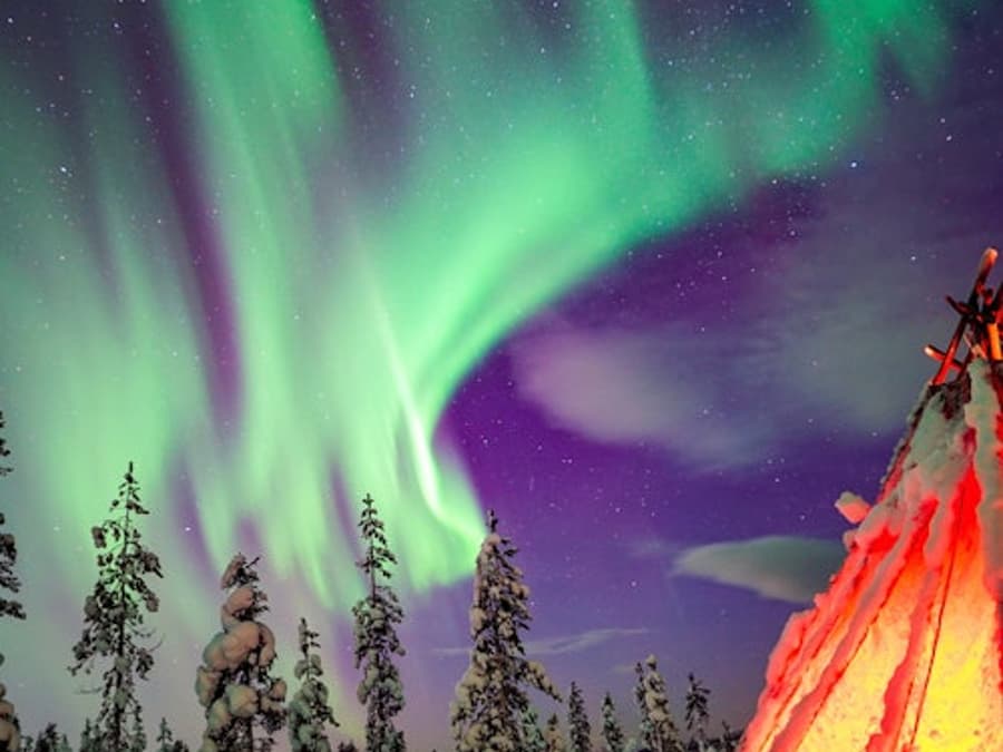 Cahaya Utara Rovaniemi: Tur Alam Liar + Kamera Profesional