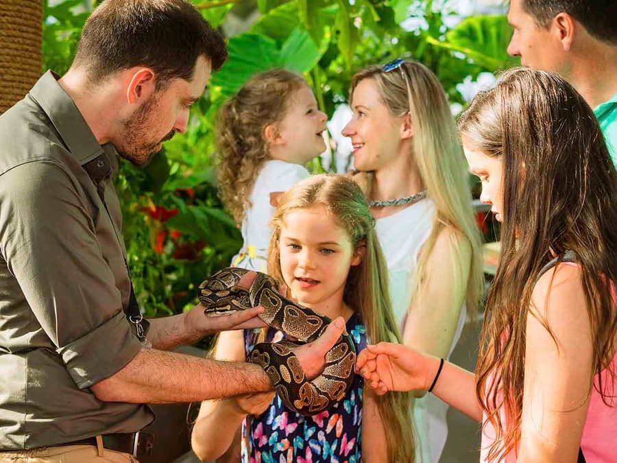 Green Planet Dubai Tickets