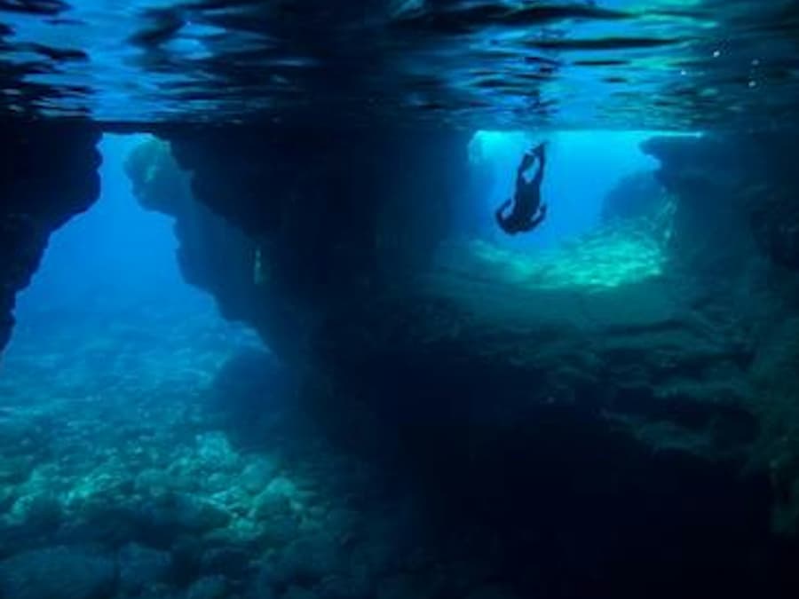 Kealakekua Bay: Marine Adventure