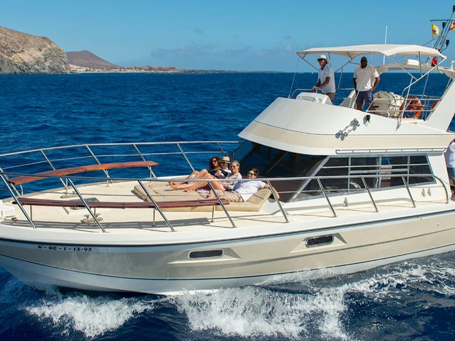 Los Cristianos: Guided Yacht Cruise + Whale Watching + Lunch