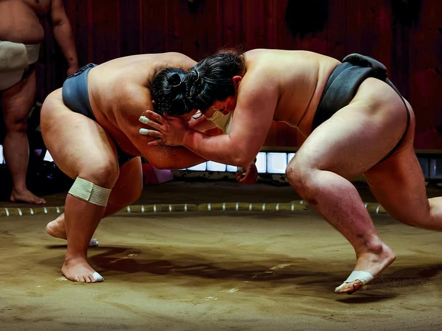 Sumo Show with a Retired Wrestler & Tonkatsu Lunch · Sumida