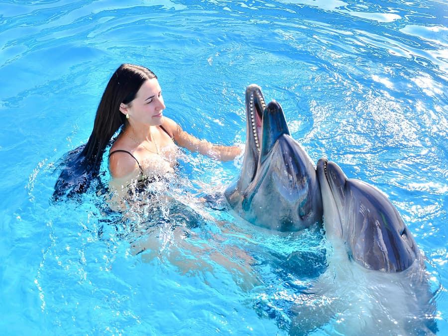 Private Dolphin Swim Adventure at Hurghada Dolphin World