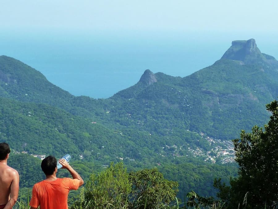 Tijuca Peak: Guided Hiking Tour + Hotel Transfer