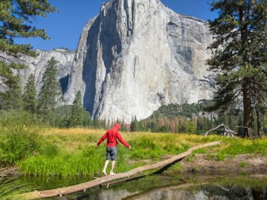 From San Francisco: Full Day Yosemite and Giant Sequoia Tour