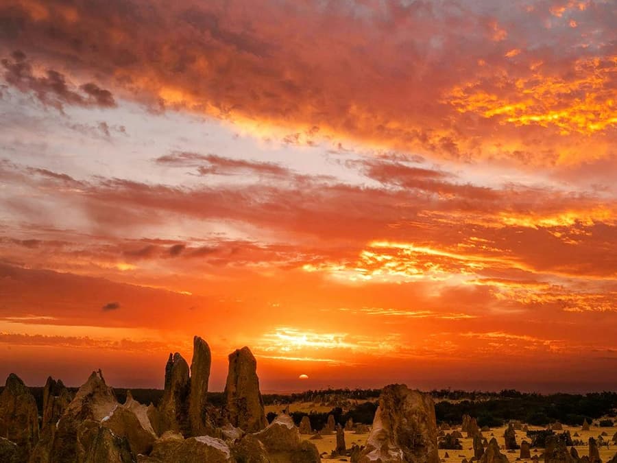 Pinnacles Sunset, Stargazing, & Wildlife Spotting Tour with Tavern Dinner & Round-Trip Transfers