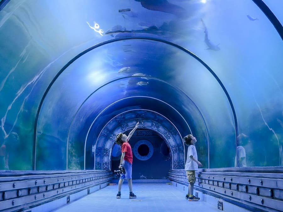 Hurghada Grand Aquarium Entry Tickets