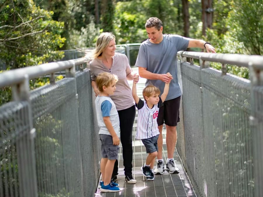 Illawarra Fly Treetop Adventures: Treetop Walk