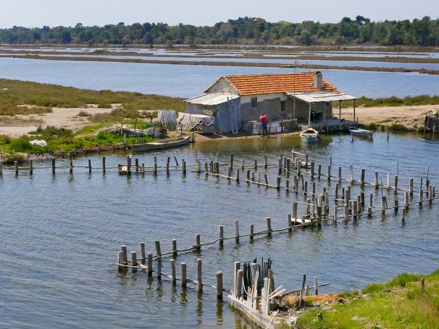 From Tirana/Durres: Karavasta Lagoon 4x4 Off-Road Day Trip
