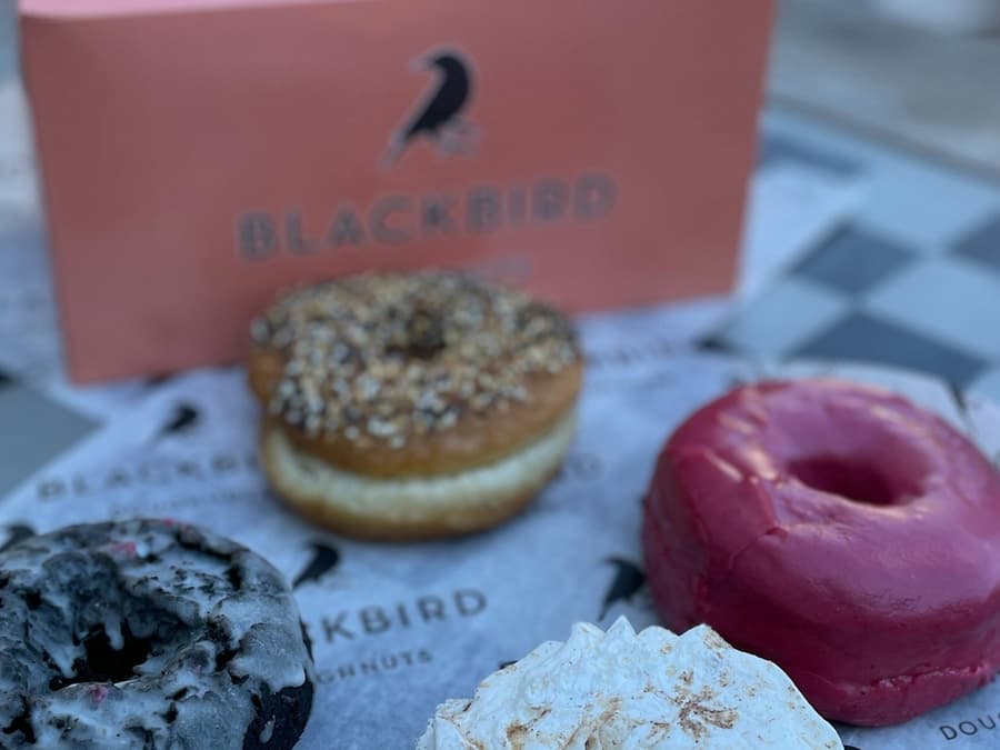 Boston: Harvard Square Guided Donut Tour