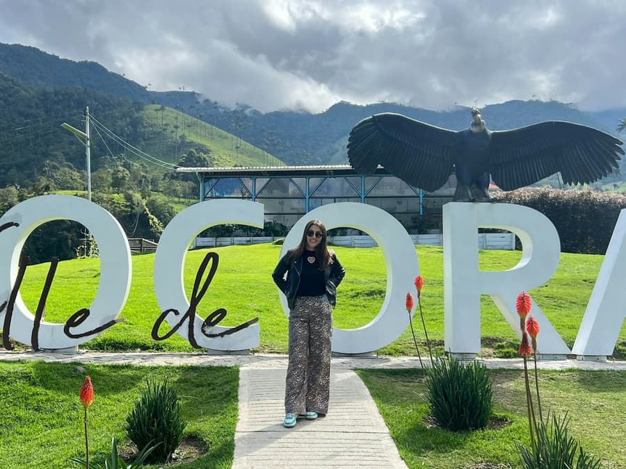 Cocora Valley: Guided Shared Tour From Salento