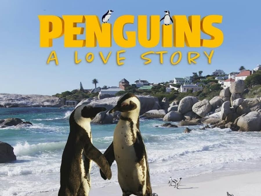 Simons Theatre: Penguins - A Love Story Film