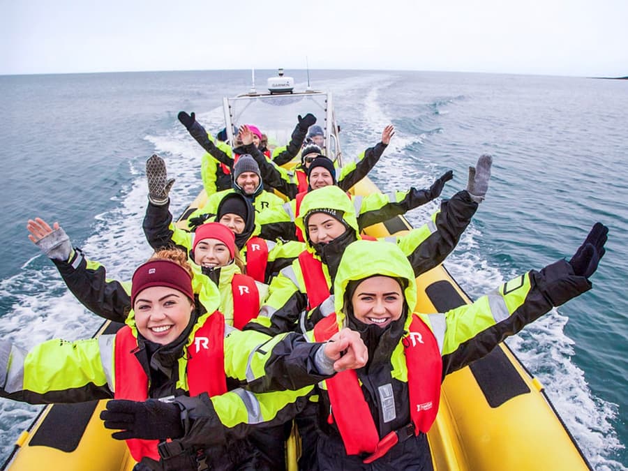 Reykjavik: Whale Watching Tour on RIB Speedboat