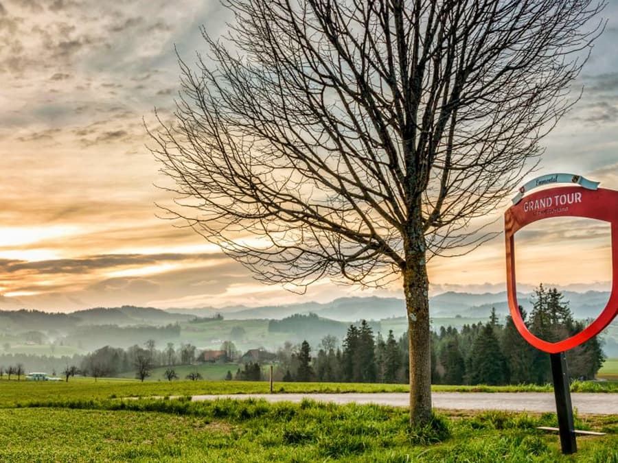 Full-Day Guided Tour of Bern from Zürich with Biscuit & Cheese Tasting