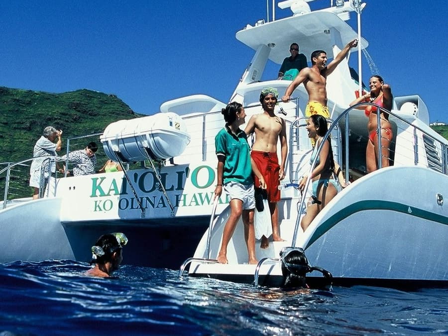 Kapolei: Morning Dolphin Watching Cruise + Snorkeling + Lunch + Drinks