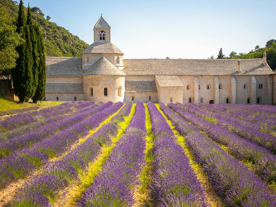 From Marseille: Lavender Fields Tour