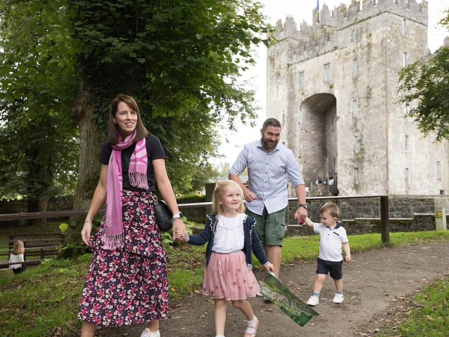Bunratty Castle & Folk Park: Entry Ticket