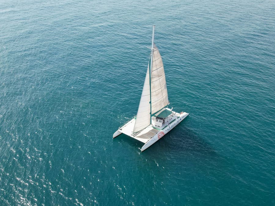 Valencia: Catamaran Sailing Experience