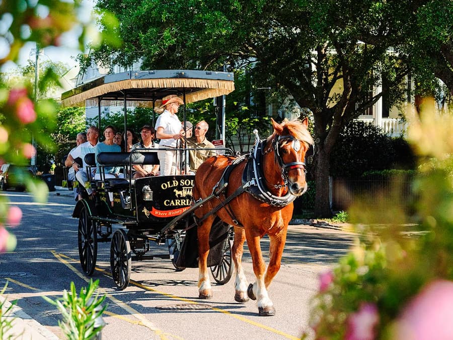 Charleston Historical Downtown Tour by Horse-drawn Carriage