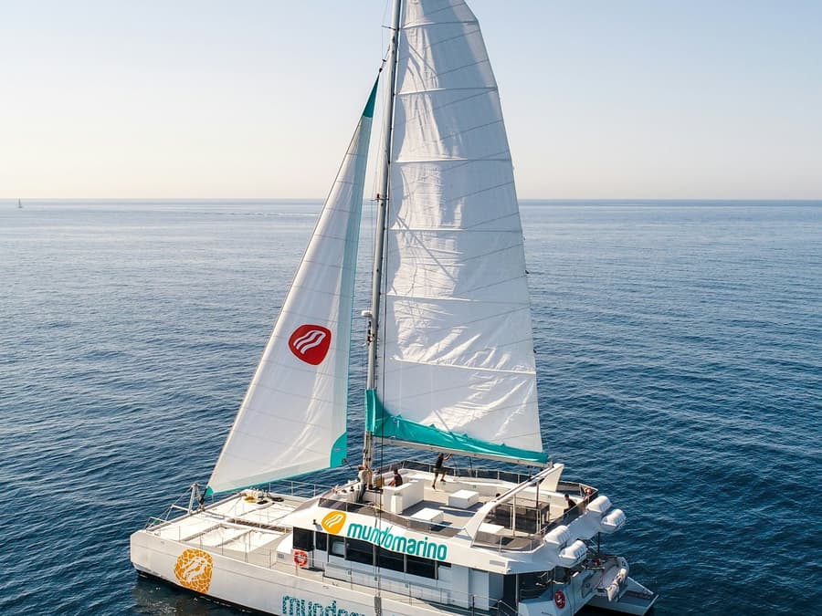 Malaga: Sunset Catamaran Cruise + Drink