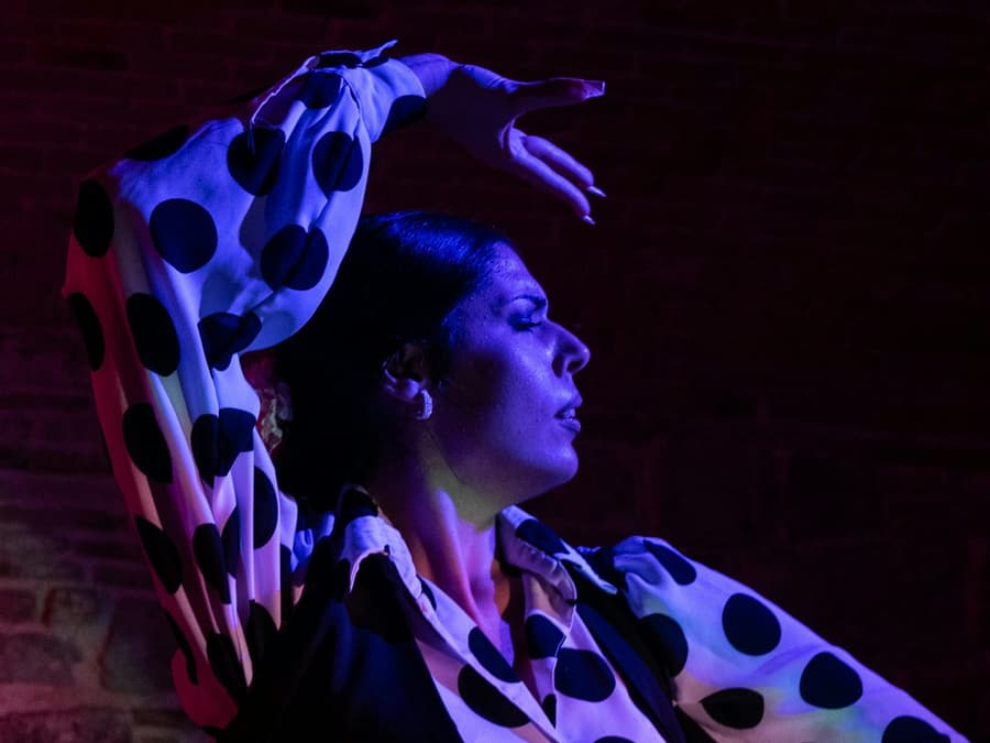 Las Brujas Flamenco: Flamenco Show