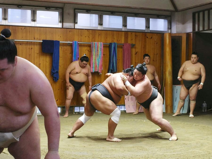 Premium Professional Sumo Morning Practice Experience in Asakusa