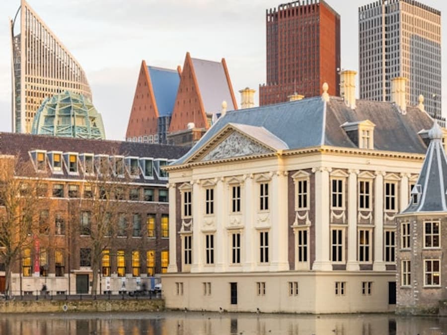 Mauritshuis Museum + Escher in The Palace